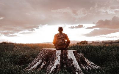 Post-Traumatic Growth: How Suffering Can Lead to Strength