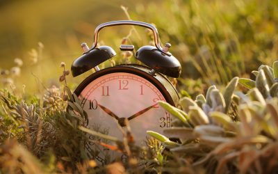 Why Healing Takes Time (and That’s Okay). Setting realistic expectations for counselling—individually and as a couple