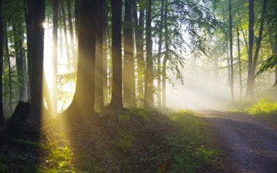 Complex Trauma: What It Is and How Therapy Helps