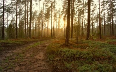 5 Signs You Might Benefit from Counselling