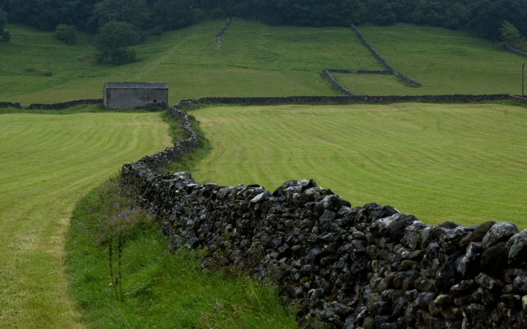 Dry stone wall winding through green fields