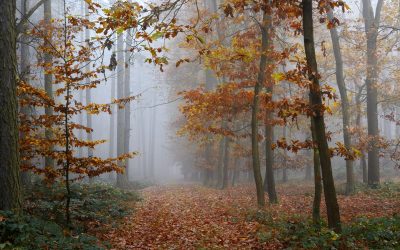 What Is Complicated Grief?