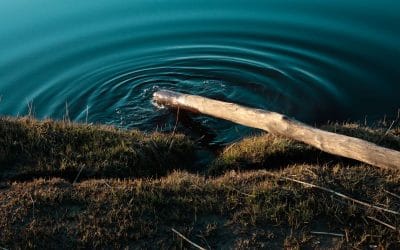 Why We Repeat the Same Emotional Patterns