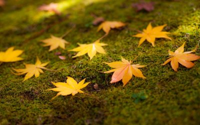 The Problem With Perfectionism: How to Embrace Imperfection