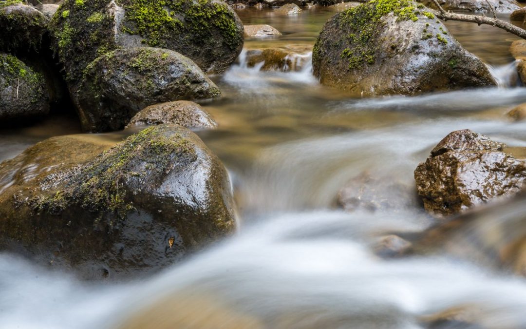 Stream flowing smoothly around mossy rocks