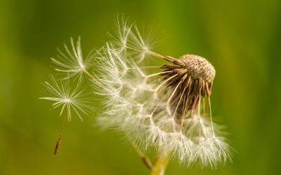 ADHD, Neurofeedback, and the Part That Never Switches Off