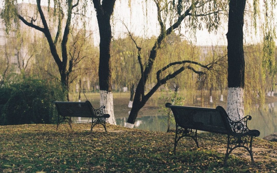 Two park benches beside the water under willow trees